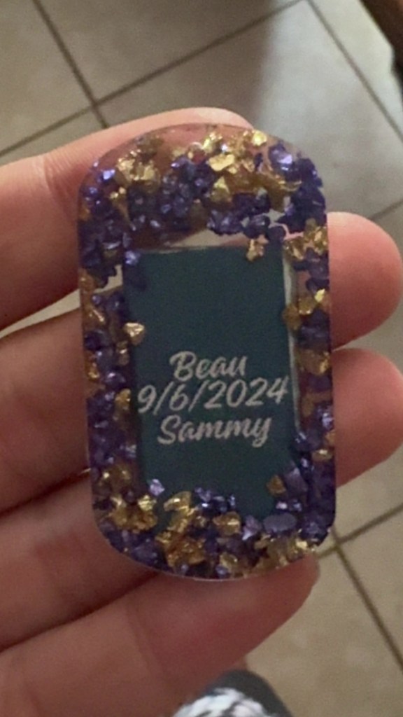 CjYKMlNuYXBjaGF0LzEzLjU3LjAuNDkgKGlQaG9uZTE2LDI7IGlPUyAxOC42LjI7IGd6aXApIAI=